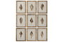 DKD Home Decor Cuadro Mediterráneo con Motivo Caracola en Madera de Abeto y Cristal, Colores Marrón y Beige, 30 x 40 x 2.5 cm - Lote de 9 Unidades