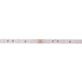Tira LED RGB SMD5050 12VDC 36W 2.100Lm IP33 5m