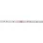 Tira de LEDs RGB IP33 150 LEDs 36W 2100Lm SMD5050 12VDC Flexible Autoadhesiva 5M para Efectos Lumínicos y Ambientación PL-219011-RGB-IP33