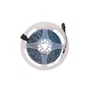 Tira de LEDs RGB IP33 150 LEDs 36W 2100Lm SMD5050 12VDC Flexible Autoadhesiva 5M para Efectos Lumínicos y Ambientación PL-219011-RGB-IP33
