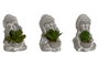 DKD Home Decor Surtido de 3 Plantas de Cemento Buddha 8,5x7x11 cm Gris y Verde