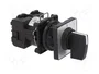 SCHNEIDER ELECTRIC Interruptor de leva 12A 0-1 Negro