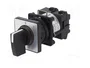 SCHNEIDER ELECTRIC Interruptor de leva 12A 0-1 Negro