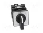 SCHNEIDER ELECTRIC Interruptor de leva 12A 0-1 Negro