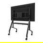 Neomounts FL50-575BL1 Carro Multimedia con Ruedas para TV 65-115", Acero Negro, 125 kg, VESA, 5 Años Garantía, Soporte de Suelo Móvil