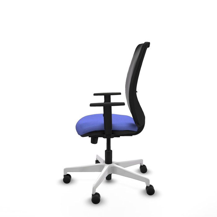 PIQUERAS Y CRESPO Silla de oficina Zulema con mecanismo Sincro/Traslack Azul claro y Negro PIQUERAS Y CRESPO Silla de oficina Zulema con mecanismo Sincro/Traslack Azul claro y Negro