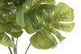 DKD Home Decor Little Monstera Planta Verde 40 x 30 x 50 cm (2 Unidades)
