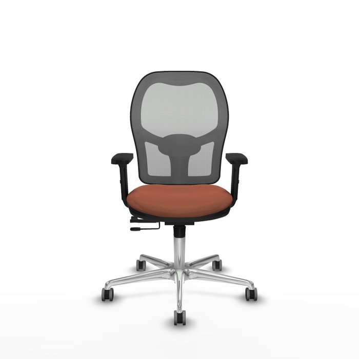 PIQUERAS Y CRESPO Silla de oficina Jorquera con mecanismo Sincro/Traslack, Tela Marrón y Malla Gris PIQUERAS Y CRESPO Silla de oficina Jorquera con mecanismo Sincro/Traslack, Tela Marrón y Malla Gris