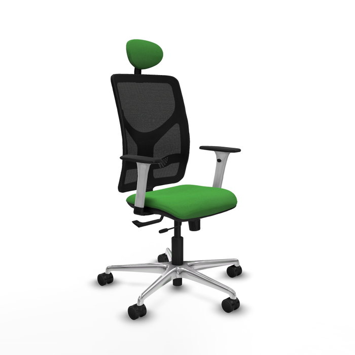 PIQUERAS Y CRESPO Silla de oficina Motilla con mecanismo Sincro/Traslack, Verde y Negro PIQUERAS Y CRESPO Silla de oficina Motilla con mecanismo Sincro/Traslack, Verde y Negro