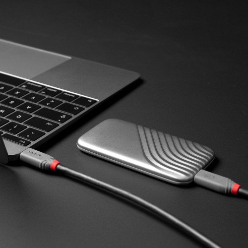 Lindy Cable USB4 Gen 3x2 USB C a USB C 2m Negro Lindy Cable USB4 Gen 3x2 USB C a USB C 2m Negro