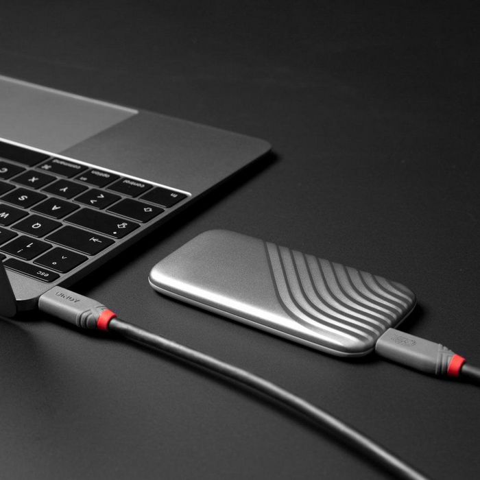 Lindy Cable USB4 Gen 3x2 USB-C de 2m, 240W, Negro