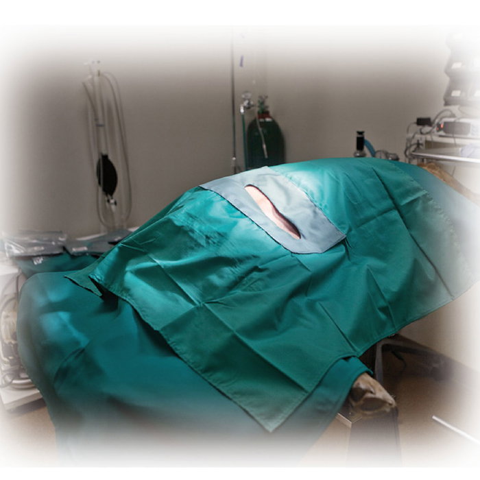KVP Campo de Cirugía 75x75 cm con Ventana 5x2.5 cm, Algodón/Poliéster, Barrera Humedad, Lavable y Autoclavable KVP Campo de Cirugía 75x75 cm con Ventana 5x2.5 cm, Algodón/Poliéster, Barrera Humedad, Lavable y Autoclavable