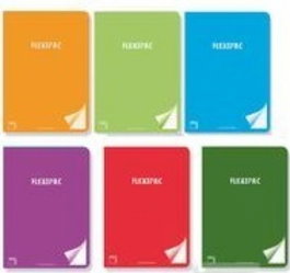 PACSA Pack de 6 libretas A4 con 48 hojas de 90g y cuadrícula 4x4, colores surtidos