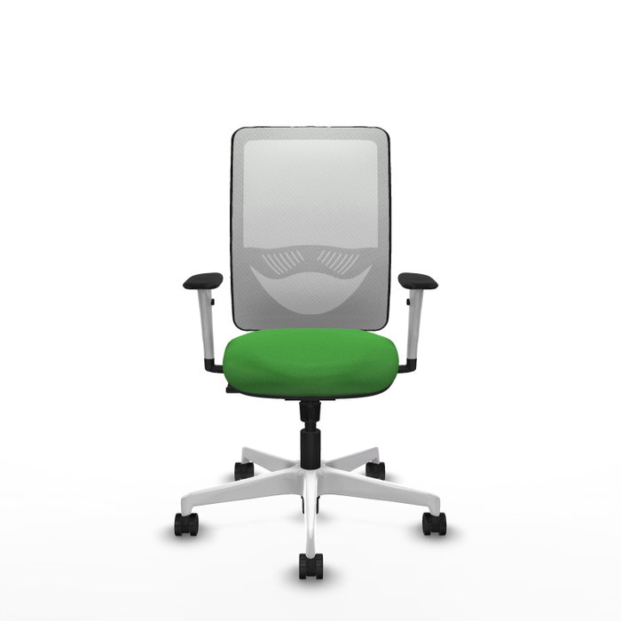 PIQUERAS Y CRESPO Silla de oficina Zulema con mecanismo Sincro, Tela Verde y Malla Blanca PIQUERAS Y CRESPO Silla de oficina Zulema con mecanismo Sincro, Tela Verde y Malla Blanca