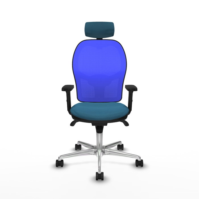 PIQUERAS Y CRESPO Silla de oficina Jorquera Verde petróleo y Azul PIQUERAS Y CRESPO Silla de oficina Jorquera Verde petróleo y Azul