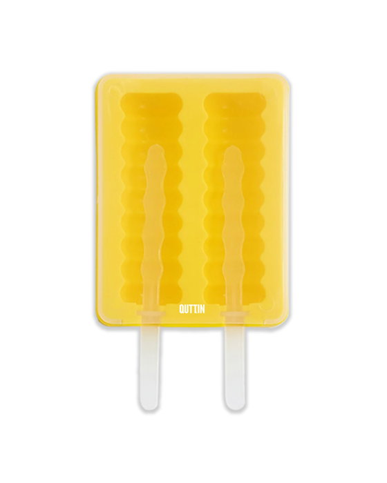 Quttin Molde para 2 Helados de Silicona 13x10.5x3 cm (24 Unidades)