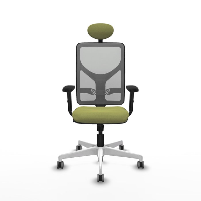 PIQUERAS Y CRESPO Silla de oficina Motilla con mecanismo Sincro, Verde oliva y Gris PIQUERAS Y CRESPO Silla de oficina Motilla con mecanismo Sincro, Verde oliva y Gris