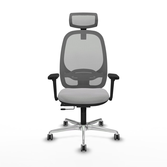 PIQUERAS Y CRESPO Silla de oficina Cilanco Gris con Brazos 3D PIQUERAS Y CRESPO Silla de oficina Cilanco Gris con Brazos 3D