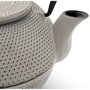 Bredemeijer Tetera Jang 1,1l Hierro Fundido Gris con Filtro