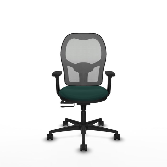 PIQUERAS Y CRESPO Silla de oficina Jorquera con mecanismo Sincro/Traslack Verde botella y Gris PIQUERAS Y CRESPO Silla de oficina Jorquera con mecanismo Sincro/Traslack Verde botella y Gris