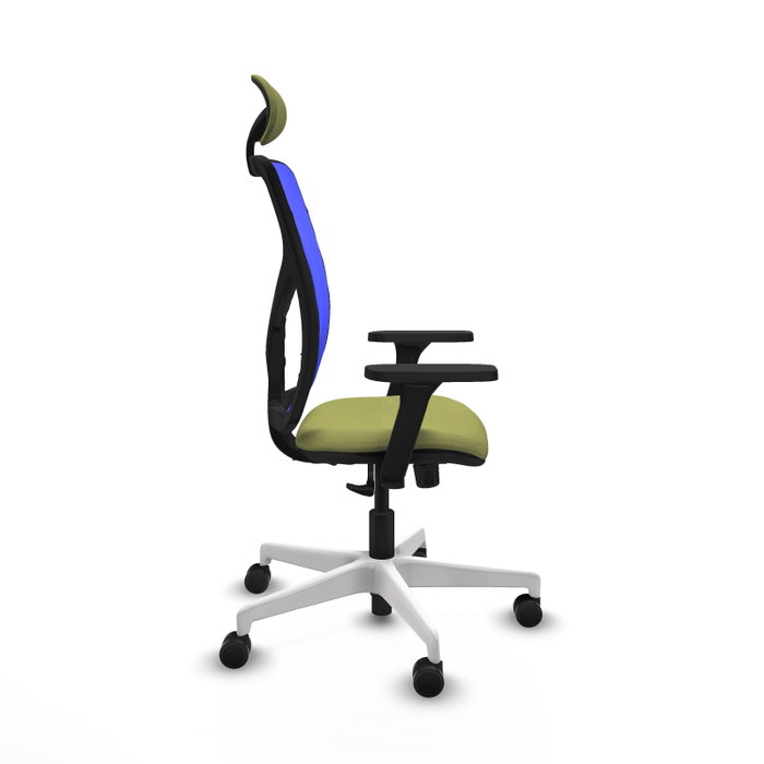 PIQUERAS Y CRESPO Silla de oficina Motilla con mecanismo Sincro, Verde oliva y Azul PIQUERAS Y CRESPO Silla de oficina Motilla con mecanismo Sincro, Verde oliva y Azul