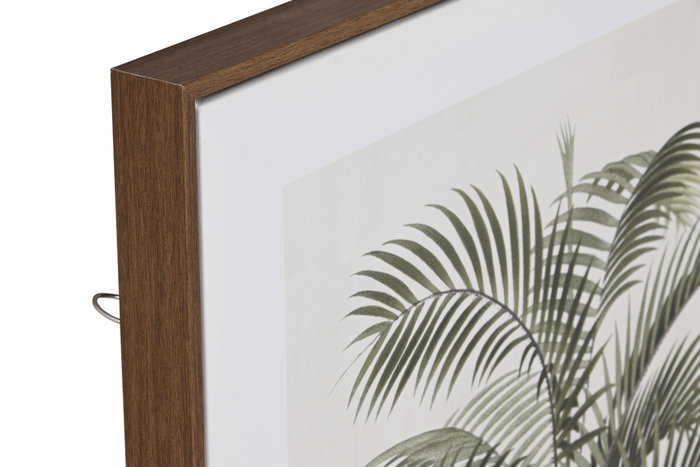 DKD Home Decor Cuadro Colonial Palmera Blanco Beige (2 Unidades)