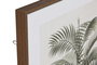DKD Home Decor Cuadro Colonial Palmera Blanco Beige (2 Unidades)