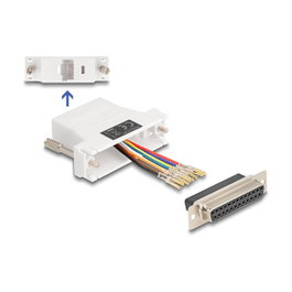 DeLOCK 67117 Adaptador de montaje VGA a RJ45 blanco