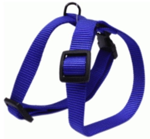 Sandimas Arnés H Nailon Azul 20mm Sandimas Arnés H Nailon Azul 20mm