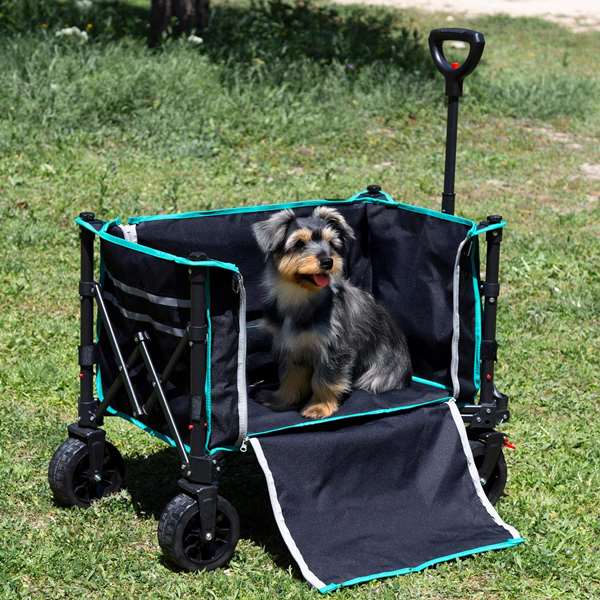 Color Baby Carro Playa Plegable 70X45X95Cm Ruedas 14Cm