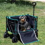 Color Baby Carro Playa Plegable 70X45X95Cm Ruedas 14Cm