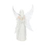 Anne Stokes Estatua Only Love Remains 26 cm