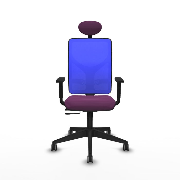 PIQUERAS Y CRESPO Silla de oficina Motilla con mecanismo Sincro/Traslack, Morado y Azul PIQUERAS Y CRESPO Silla de oficina Motilla con mecanismo Sincro/Traslack, Morado y Azul
