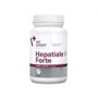 Vet Expert Hepatiale Forte Large Breed 40 Tabl