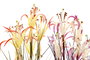 DKD Home Decor Planta Lirio Araña Surtida de PVC y Metal (Pack de 2)