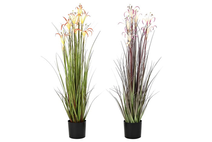 DKD Home Decor Planta Lirio Araña Surtida de PVC y Metal (Pack de 2) DKD Home Decor Planta Lirio Araña Surtida de PVC y Metal (Pack de 2)