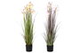 DKD Home Decor Planta Lirio Araña Surtida de PVC y Metal (Pack de 2)