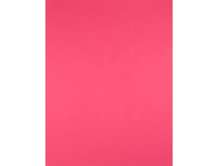 Liderpapel Cartulina Fucsia 50 x 65 cm 240 g/m2 Liderpapel Cartulina Fucsia 50 x 65 cm 240 g/m2