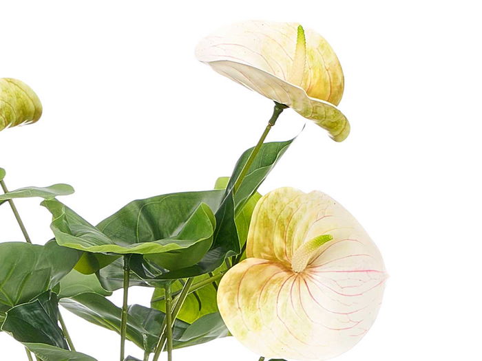 Ibergarden Maceta Flor Flamingo, Maceta de Plástico 65 cm de Alto, Surtido de Colores (Verde, Morado, Blanco), Dimensiones 50x50x65 cm (Set de 6)