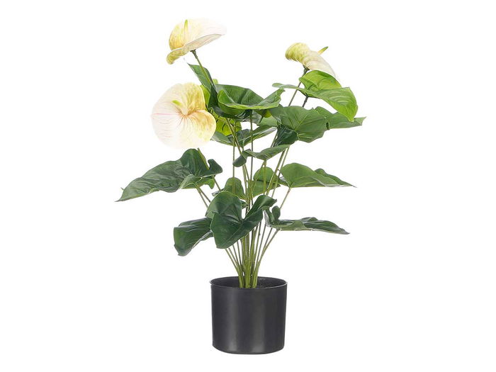 Ibergarden Maceta Flor Flamingo, Maceta de Plástico 65 cm de Alto, Surtido de Colores (Verde, Morado, Blanco), Dimensiones 50x50x65 cm (Set de 6)