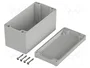 BOPLA EUROMAS II Gris IP65