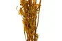 DKD Home Decor Ramo de Flores Secas Surtido 50g