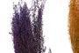 DKD Home Decor Ramo de Flores Secas Surtido 50g
