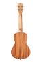 Kala Ukelele Concierto Guidance