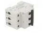 LEGRAND RX3 Interruptor magnetotérmico 3 polos 25A Caract B