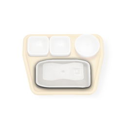 RIEBER THERMOPORT 20 Tapa Bandeja Rectangular Termica, Almacenaje y Transporte, 45 x 36 x 11 cm, Naranja