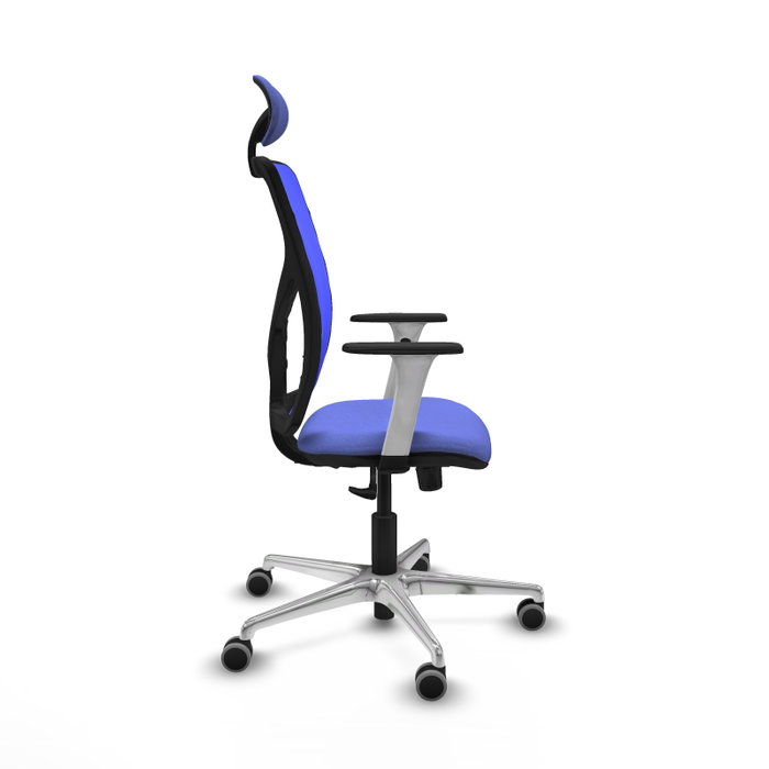 PIQUERAS Y CRESPO Silla de oficina Motilla con mecanismo Sincro, Azul PIQUERAS Y CRESPO Silla de oficina Motilla con mecanismo Sincro, Azul