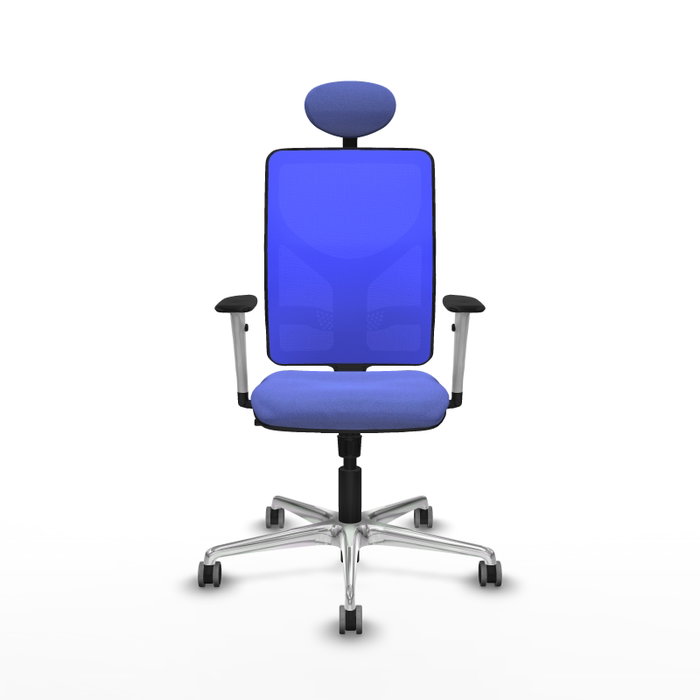 PIQUERAS Y CRESPO Silla de oficina Motilla con mecanismo Sincro, Azul PIQUERAS Y CRESPO Silla de oficina Motilla con mecanismo Sincro, Azul