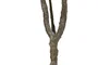 DKD Home Decor Árbol Frangipani Flor Tahiti Blanco 80x80x150 cm