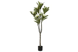 DKD Home Decor Árbol Frangipani Flor Tahiti Blanco 80x80x150 cm